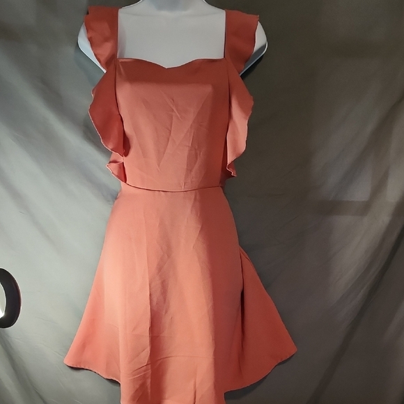 Not sure Dresses & Skirts - Chic Sleeveless Ruffle Dress in Terracotta